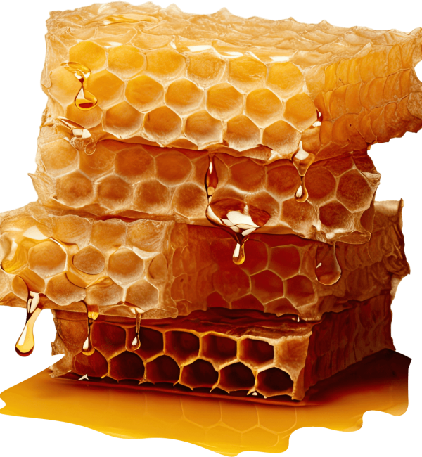 Pure & Natural Ingredients